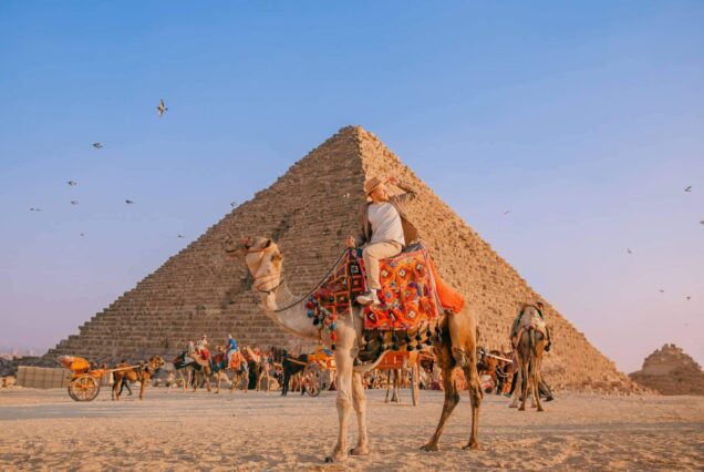 Privater Ausflug nach kairo & Gizeh mit Flugzeug von Makadi bay