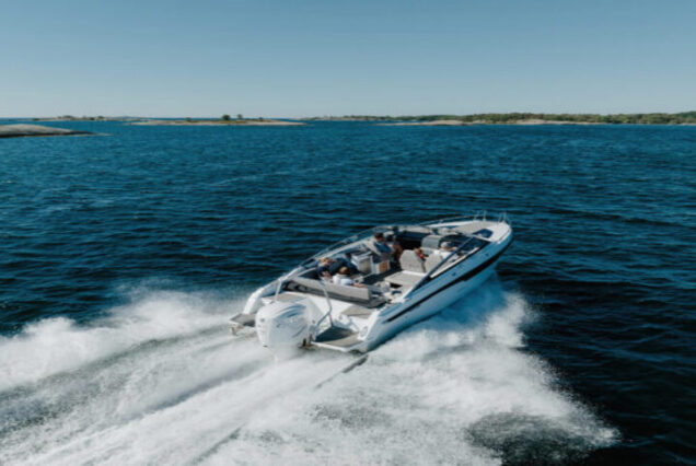 Private Delfin-Tour mit dem Speedboot nach Dolphin-House