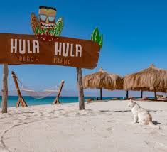 Privater Speedbootsausflug Hula Hula Island und Schnorcheln